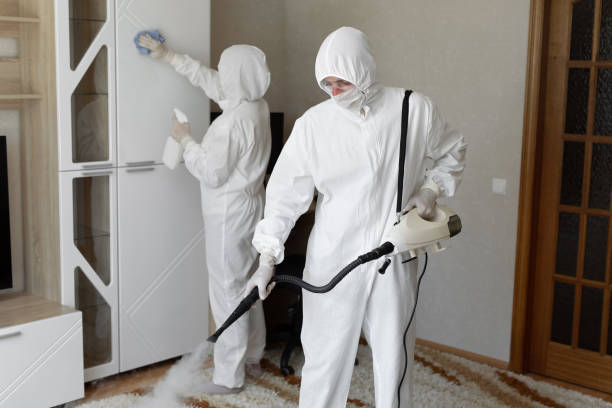 Best Mold Remediation  in Fairmont, WV